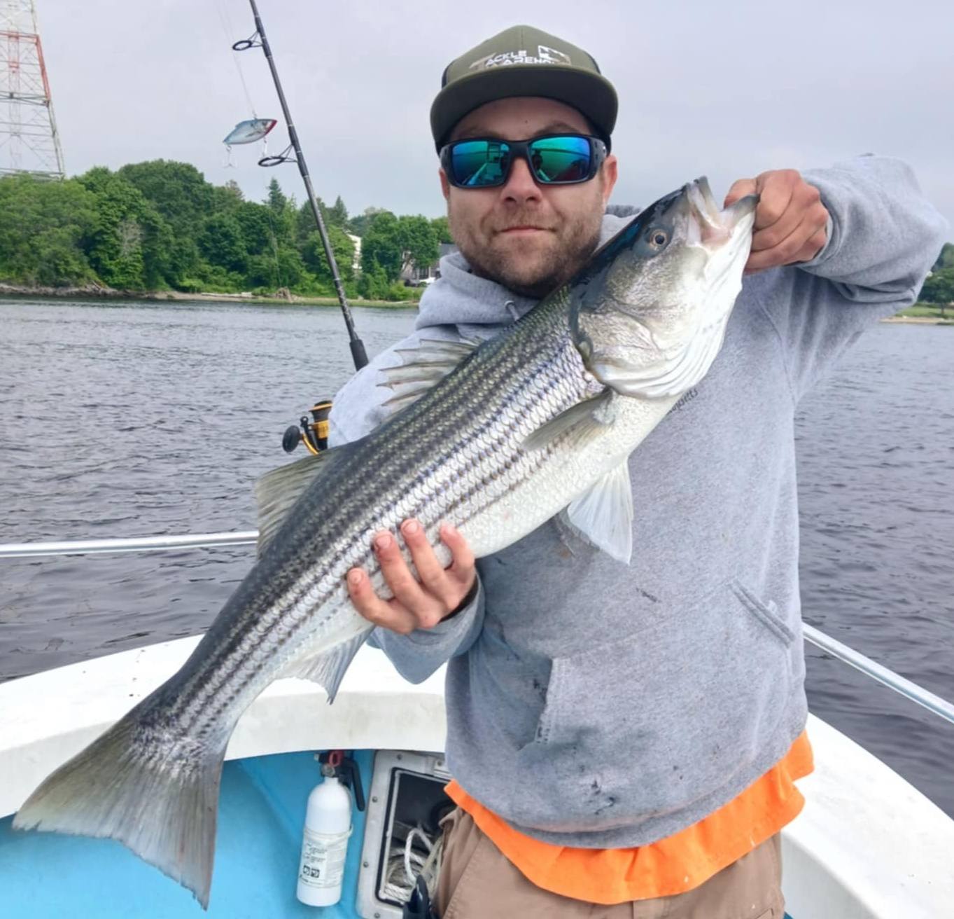 DMF Adopts Emergency Regulations to Establish Commercial Striped Bass Fishery as Limited Entry and Owner Operator