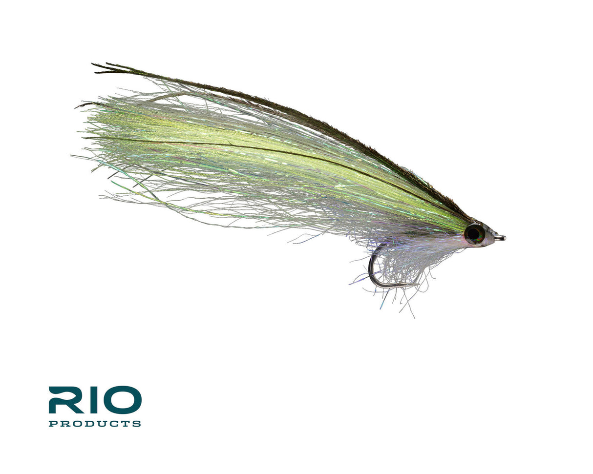 RIO PipeEel Olive 2