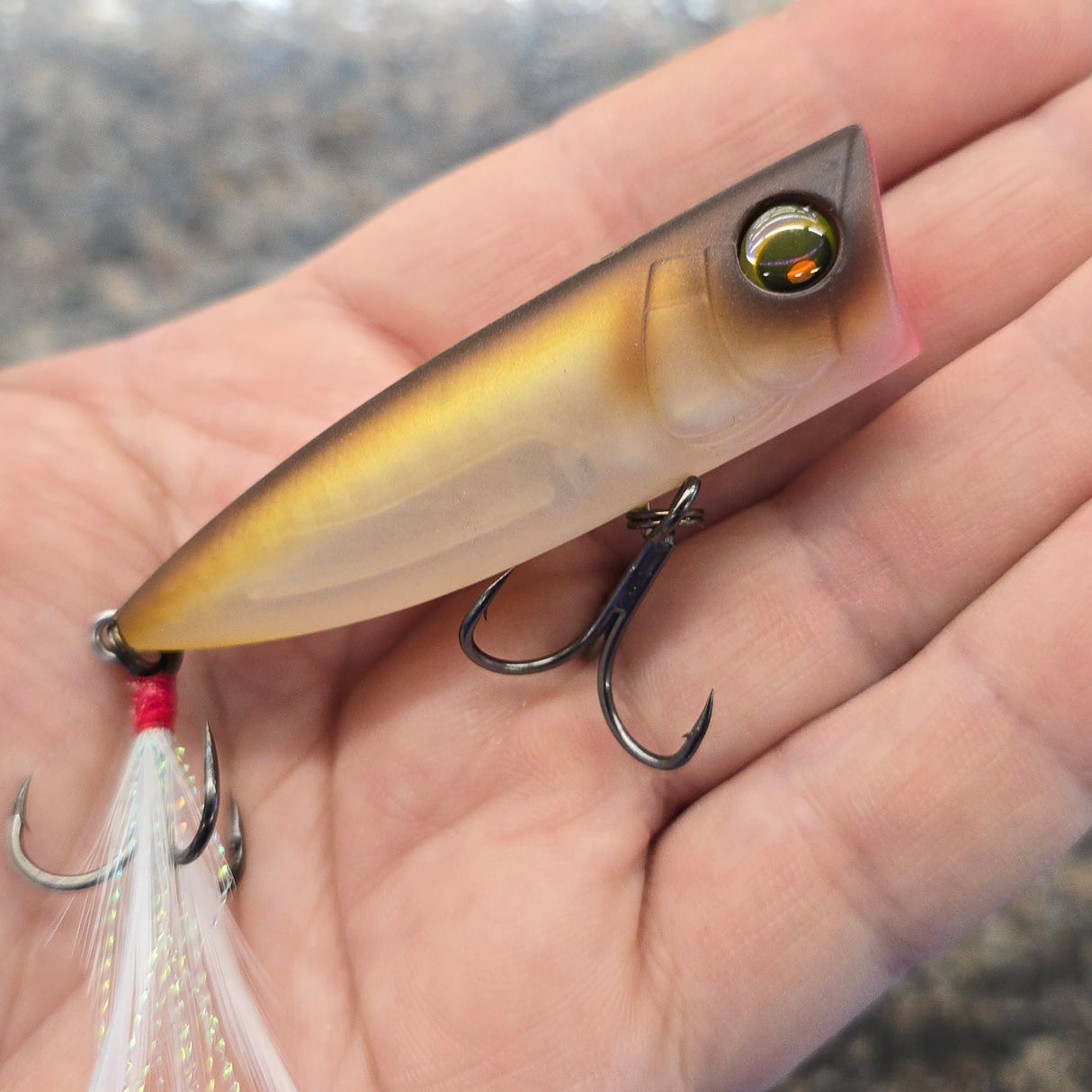 YO-ZURI PRO SERIES POPPER 2-3/4 MATTE SHAD 3/8 OZ