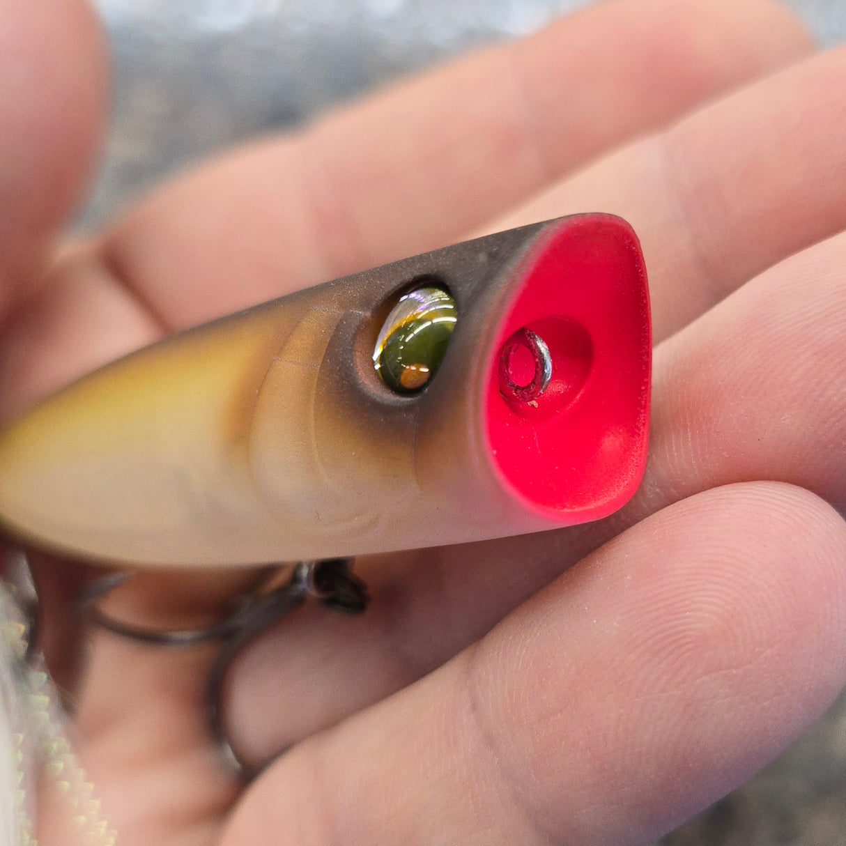 YO-ZURI PRO SERIES POPPER 2-3/4 MATTE SHAD 3/8 OZ