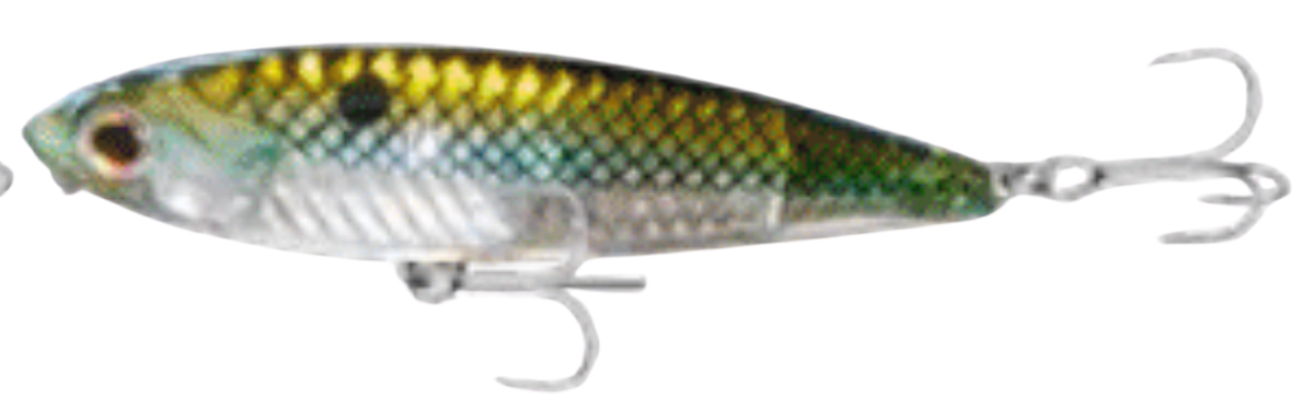 TSUNAMI TIDAL PRO TOPWATER 6"