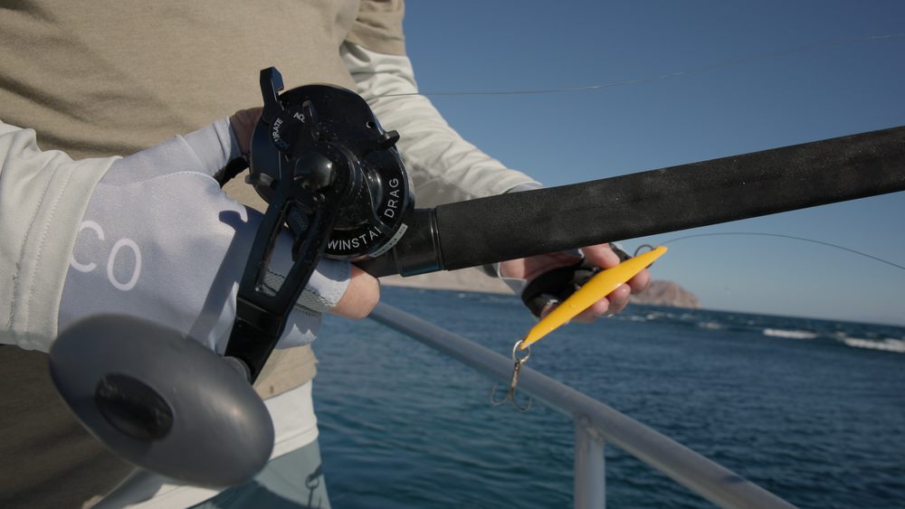 ACCURATE ASCENDER CONVENTIONAL REEL