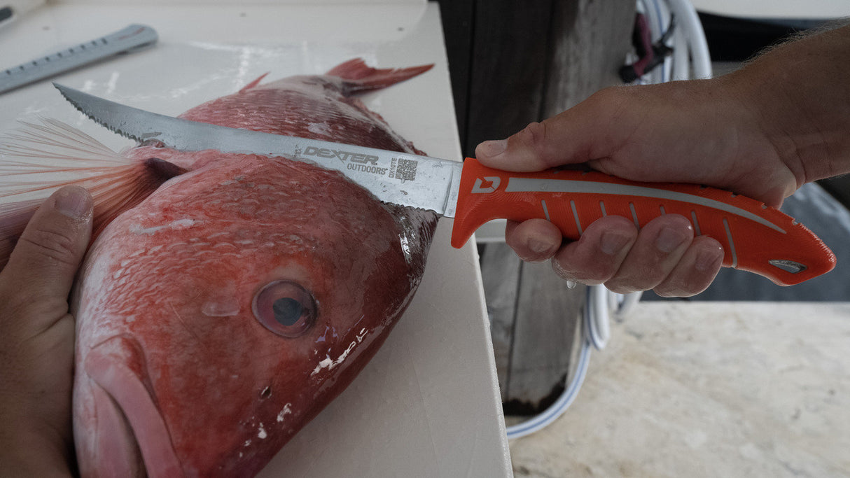 DEXTER 10" TIGER EDGE