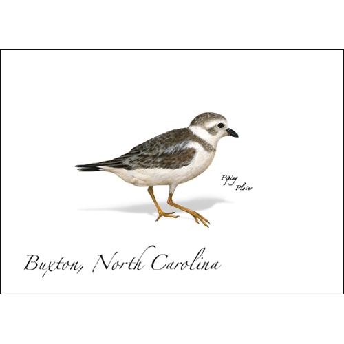 EARTH SKY & WATER NOTECARD