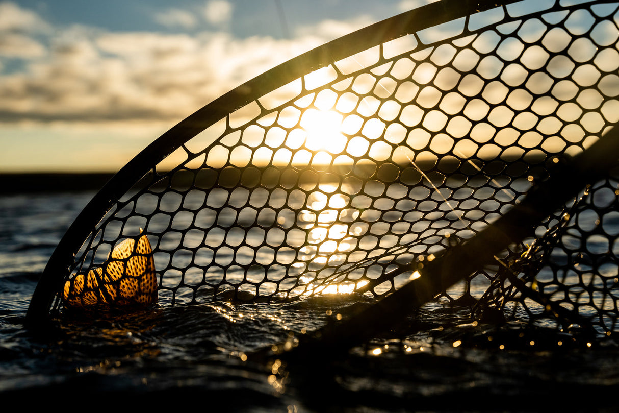 FISHPOND NOMAD BOAT NET