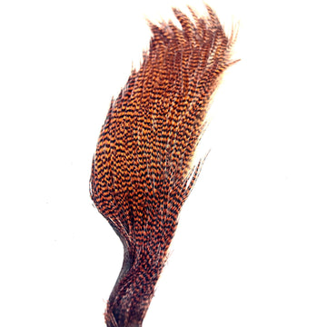 EWING GRIZZLY HALF CAPES, BROWN