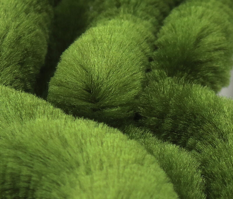 HARELINE MANGUM'S ORIGINAL DRAGON TAIL UV2 TREATED