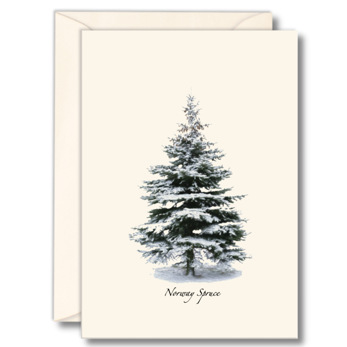 EARTH SKY & WATER NOTECARD