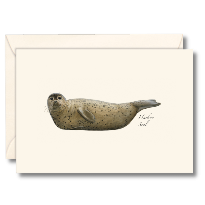 EARTH SKY & WATER NOTECARD