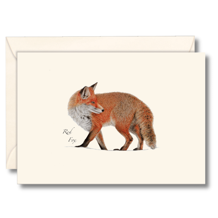 EARTH SKY & WATER NOTECARD