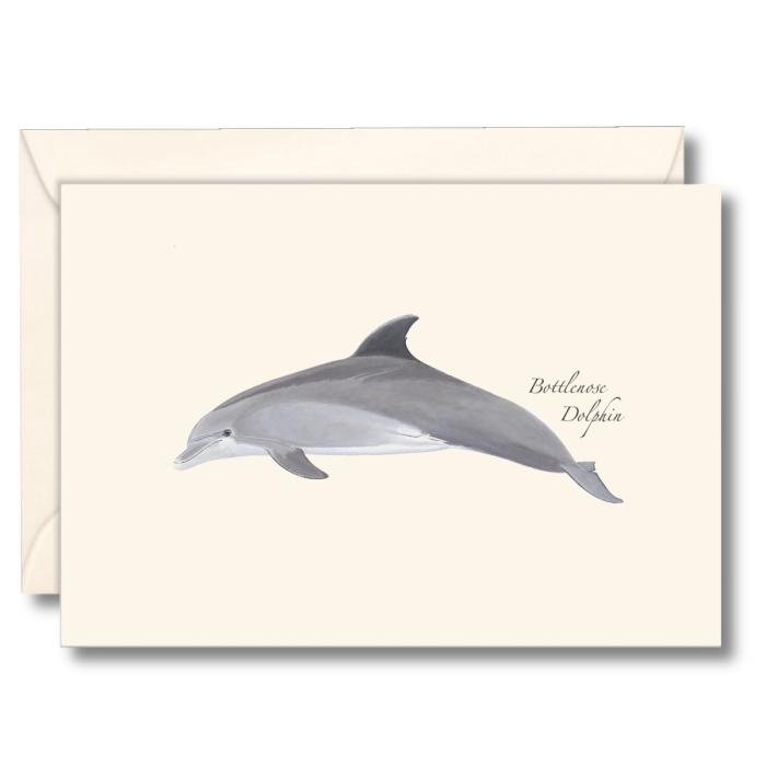 EARTH SKY & WATER NOTECARD