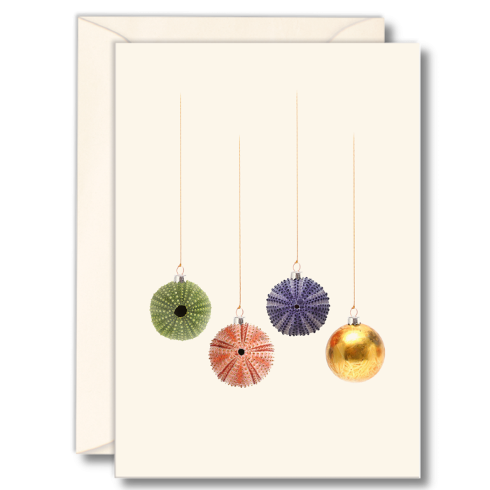 EARTH SKY & WATER NOTECARD