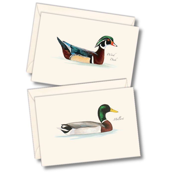 EARTH SKY & WATER NOTECARD