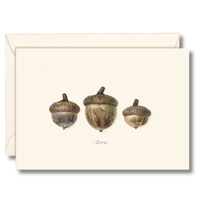 EARTH SKY & WATER NOTECARD