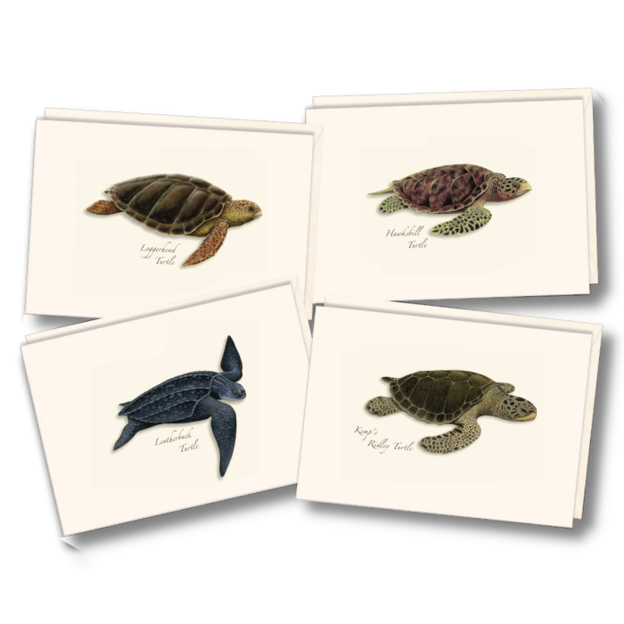 EARTH SKY & WATER NOTECARD