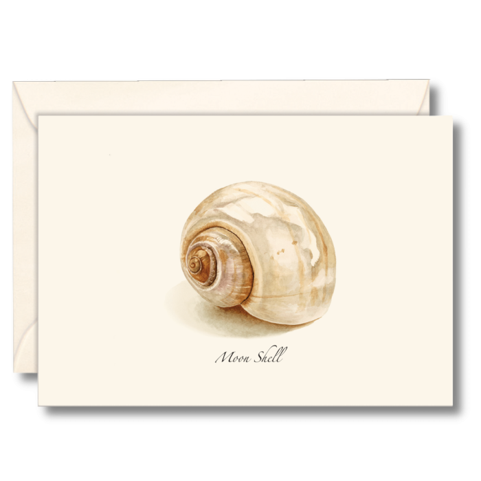 EARTH SKY & WATER NOTECARD