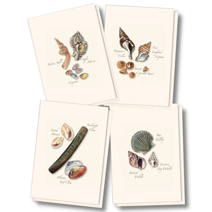 EARTH SKY & WATER NOTECARD