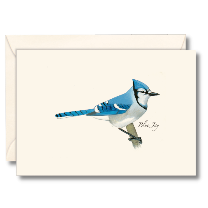 EARTH SKY & WATER NOTECARD