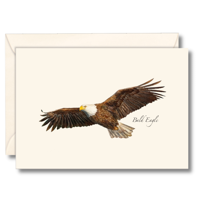 EARTH SKY & WATER NOTECARD