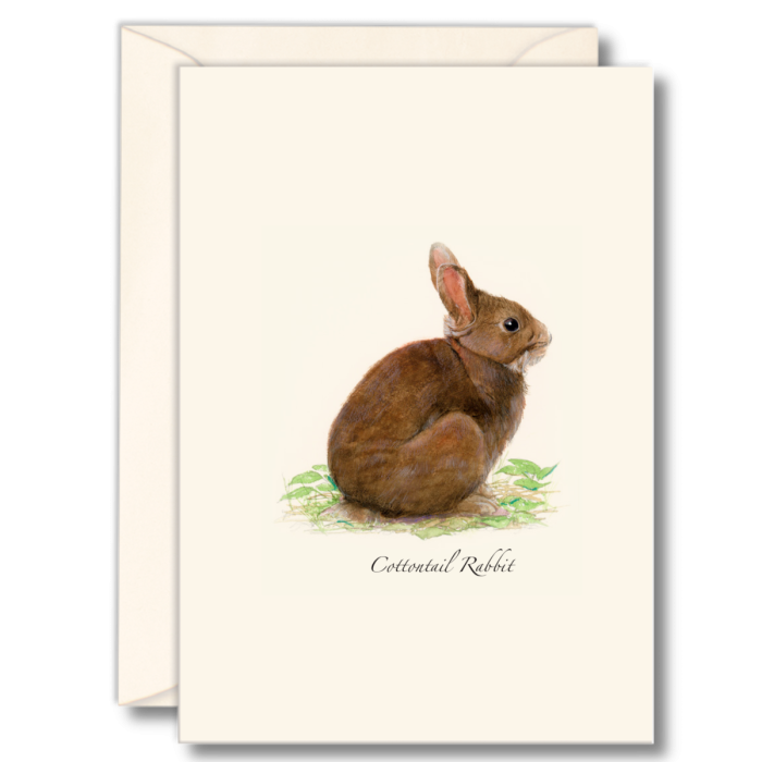 EARTH SKY & WATER NOTECARD