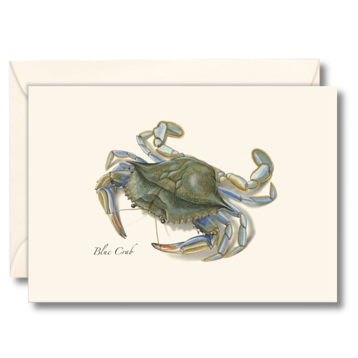 EARTH SKY & WATER NOTECARD