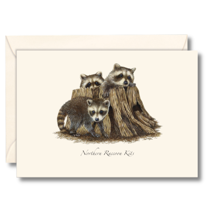 EARTH SKY & WATER NOTECARD