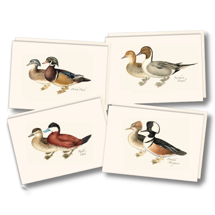 EARTH SKY & WATER NOTECARD