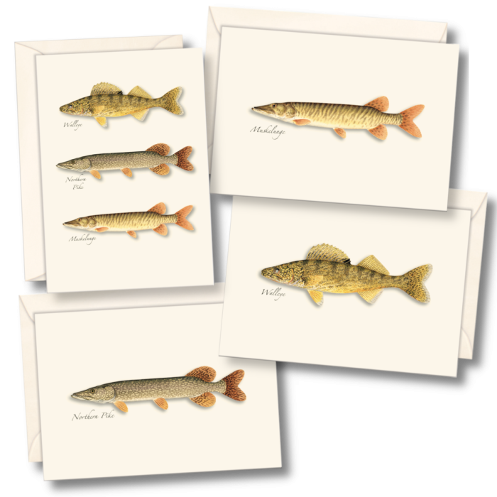 EARTH SKY & WATER NOTECARD