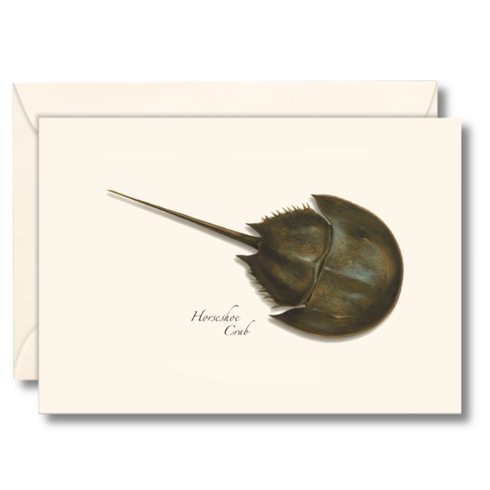 EARTH SKY & WATER NOTECARD