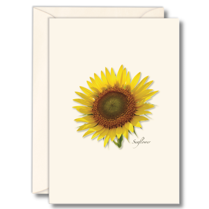 EARTH SKY & WATER NOTECARD