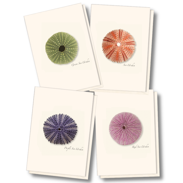 EARTH SKY & WATER NOTECARD