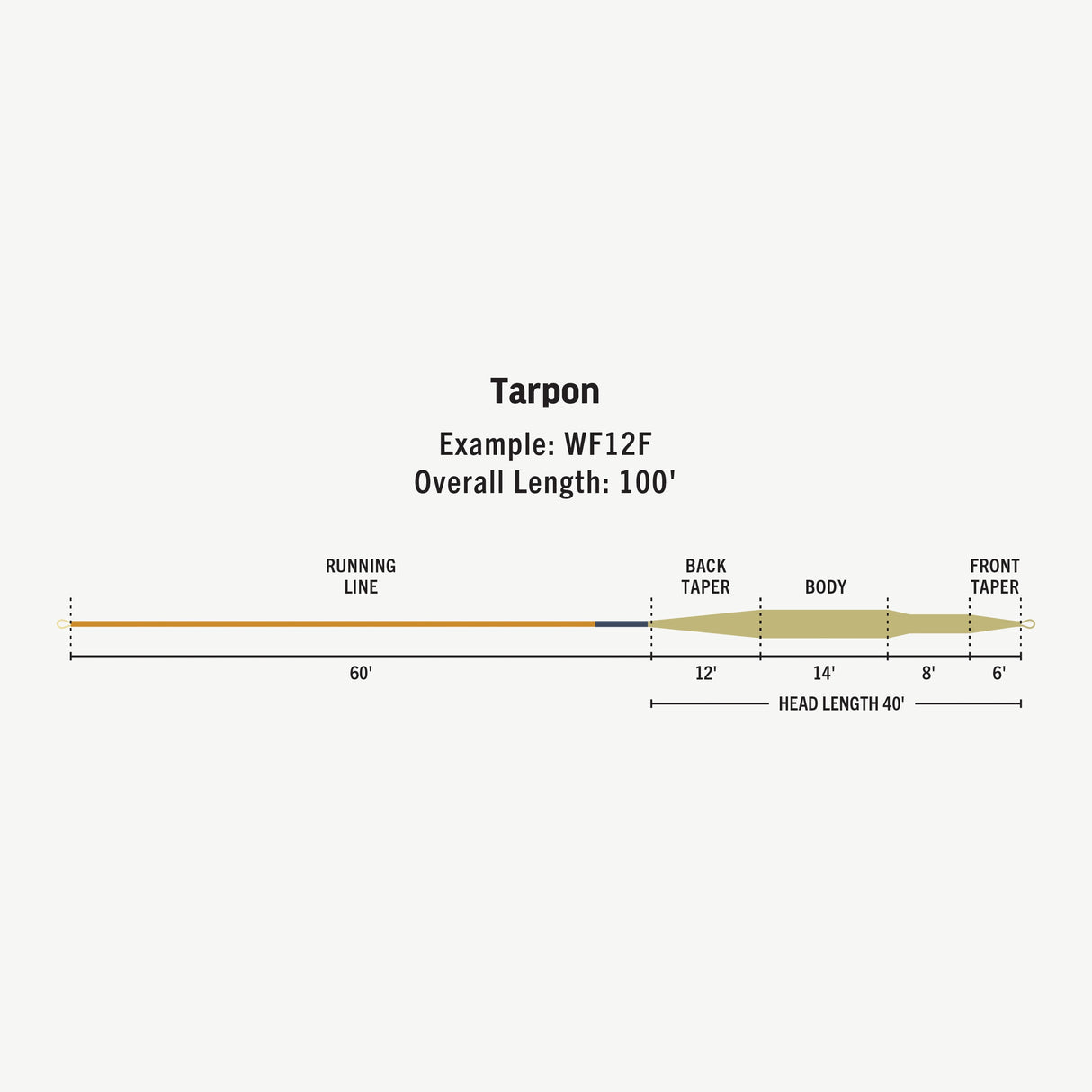 RIO PREMIER TARPON WF10F