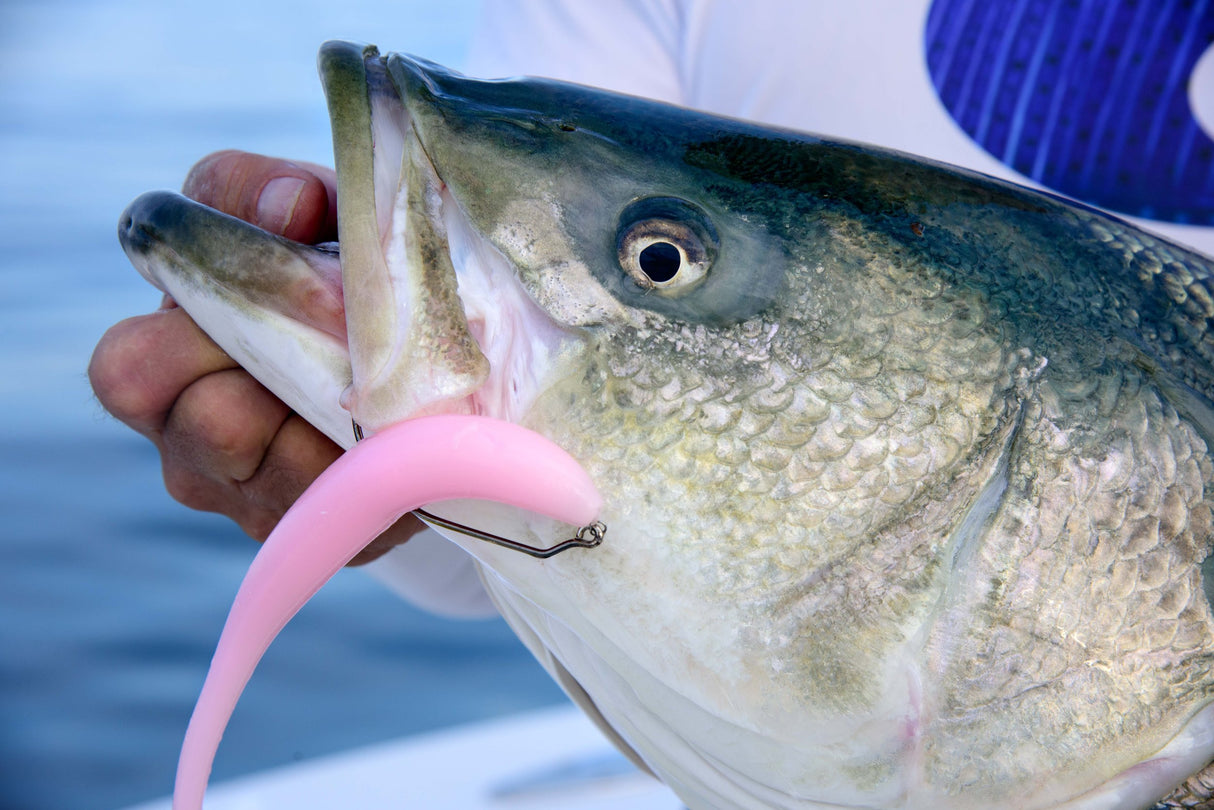 FISH SNAX SUPER SNAX 9 1/2" 4 PACK