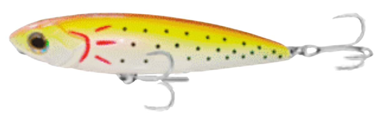 TSUNAMI TIDAL PRO TOPWATER 6"