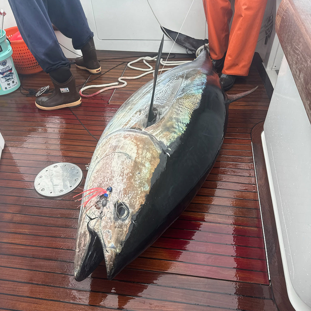 WOLFPACK NORTHERN TUNA SS HOOK - 2 pack