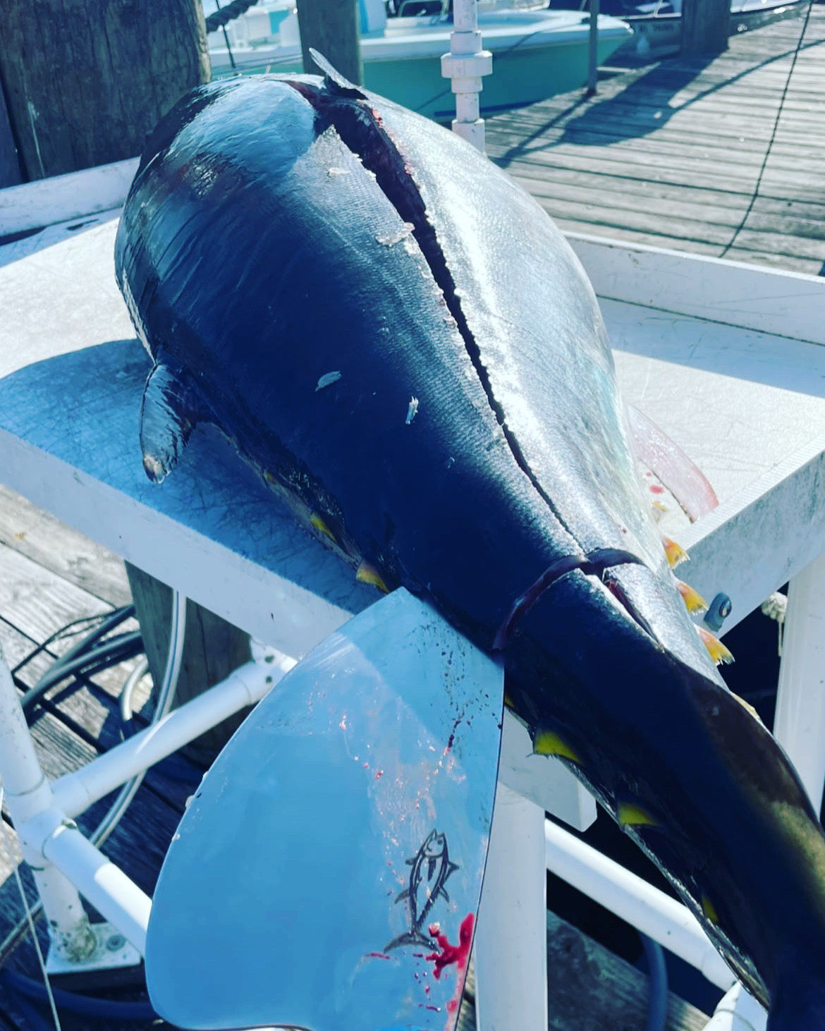 GREG CIMMS 8" TUNA CLEAVER w/Toxic Green/Black Handle