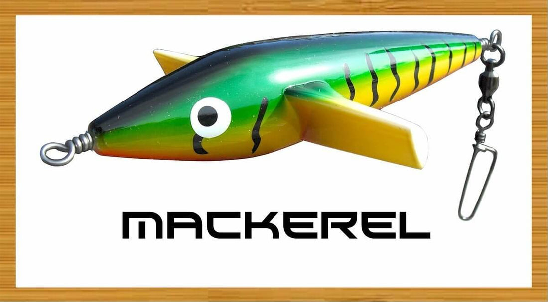 TORMENTER LOONEY BIRD 9" WIRED ABS FOAM