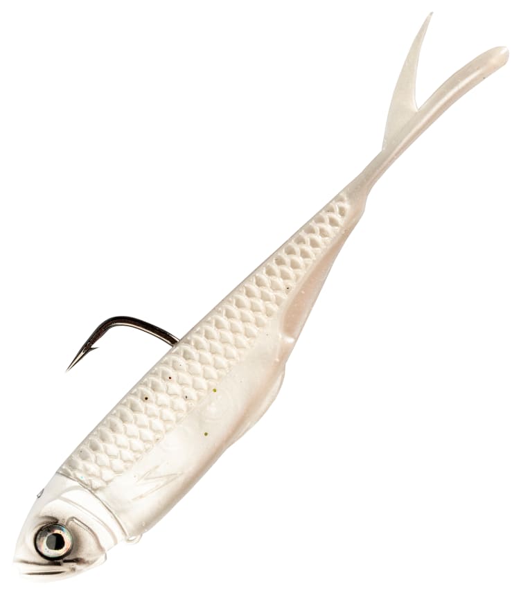 Z-MAN GRAPH SHADZ 3.8"