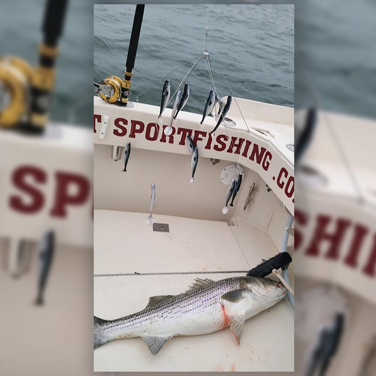 BOSTON MASSACRE RIG SMALL MACKEREL UMBRELLA RIG