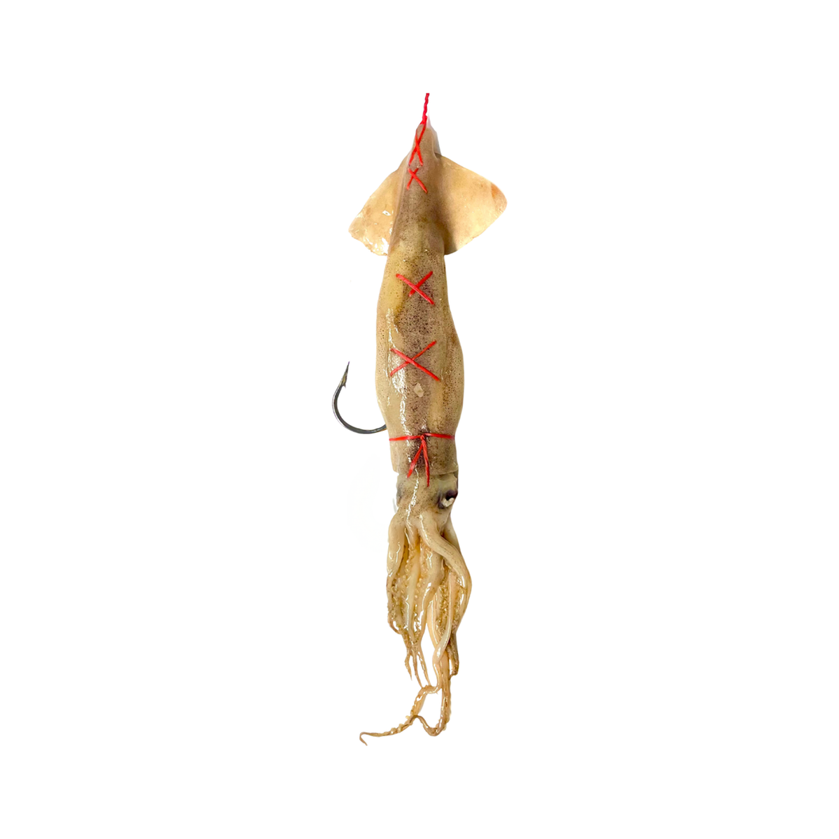 RJ BOYLE DEEP DROP BAIT