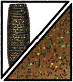 GARY YAMAMOTO 6" YAMASENKO