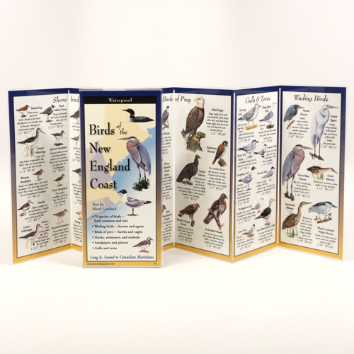 BIRDS OF NEW ENGLAND COAST FOLDING GUIDE