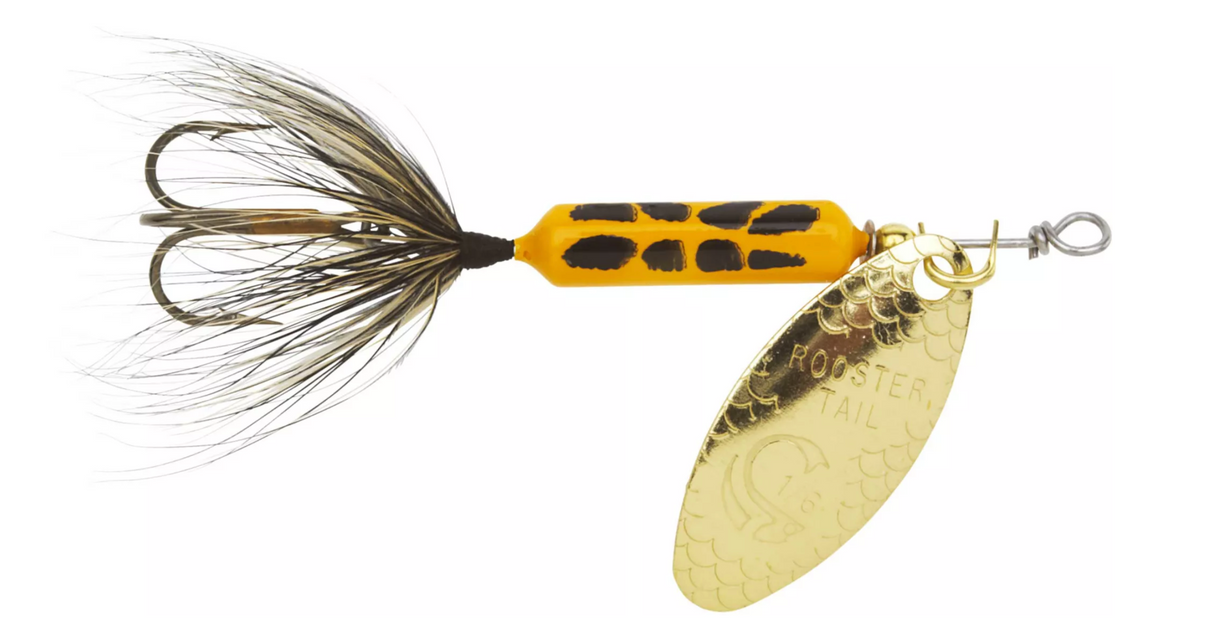 WORDEN'S ROOSTER TAIL SPINNER 1/8 OZ