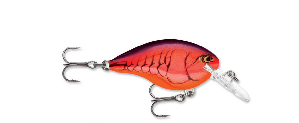 RAPALA DT SERIES CRANKBAIT 2"