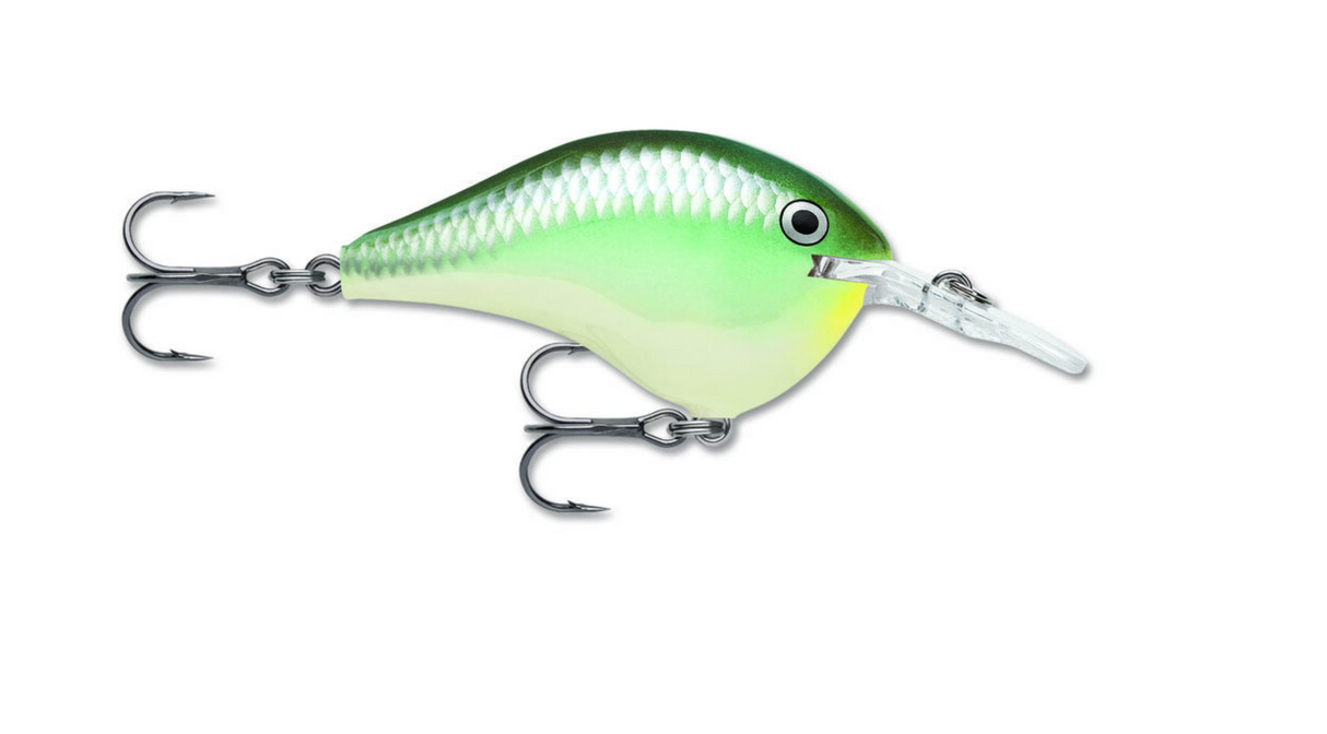 RAPALA DT SERIES CRANKBAIT 2"
