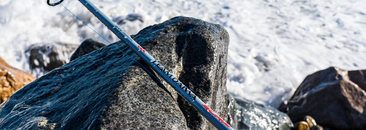 DAIWA TEAM DAIWA SURF SPINNING ROD