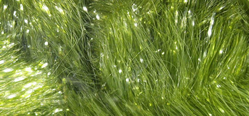 HARELINE CHOCKLETT'S GAMECHANGER CHENILLE