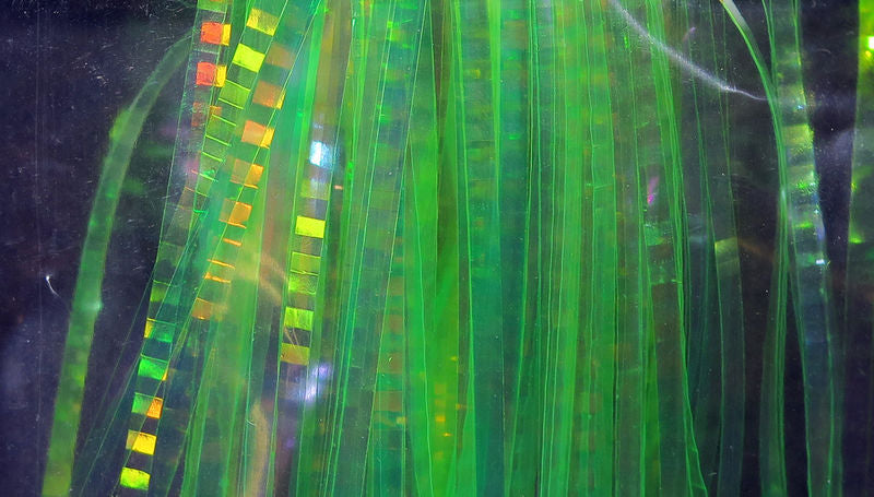 HEDRON LATERAL SCALE