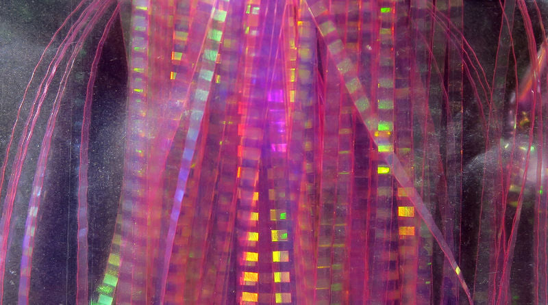 HEDRON LATERAL SCALE