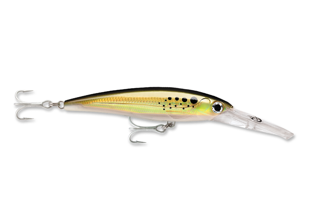 RAPALA X-RAP MAGNUM DEEP DIVER 5 1/2"